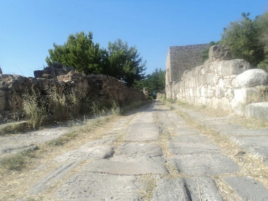 dsc04464_taejungsmin.jpg?type=w2