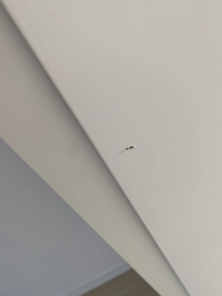 IMG_8113.jpg?type=w773