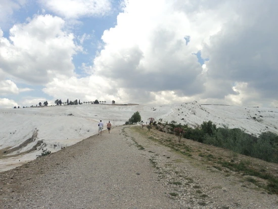 dsc03595_taejungsmin.jpg?type=w2