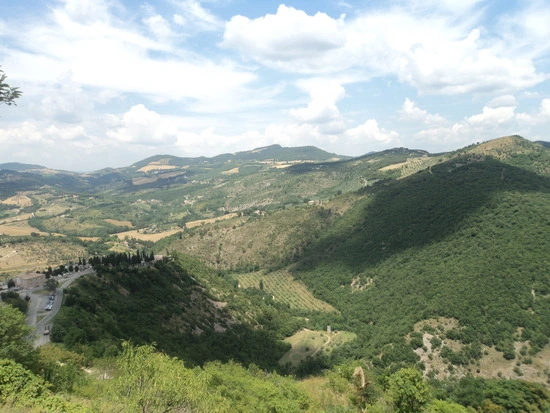 dsc05825_taejungsmin.jpg?type=w2