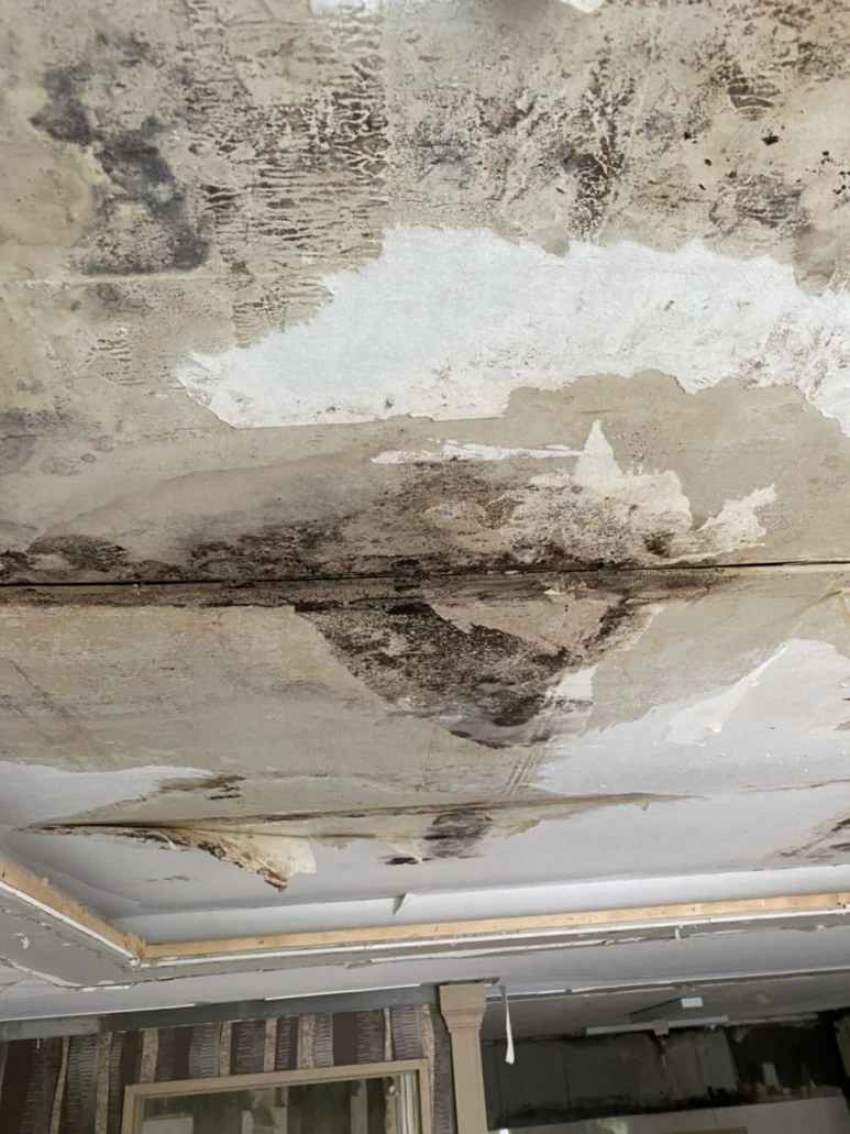 IMG_7493.jpg?type=w773