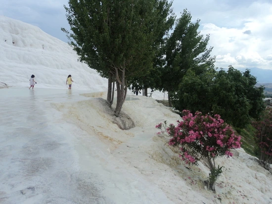 dsc03667_taejungsmin.jpg?type=w2