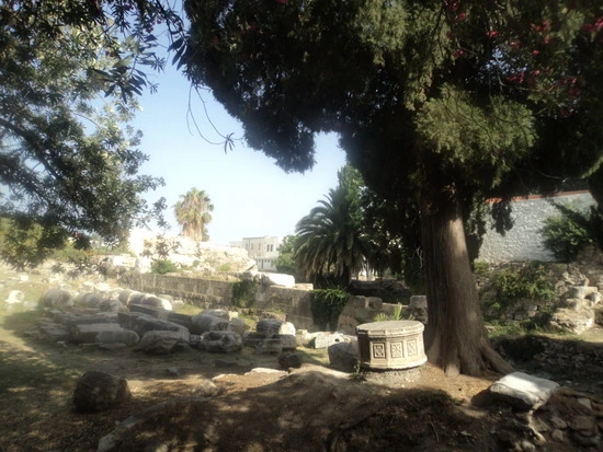 dsc04394_taejungsmin.jpg?type=w2