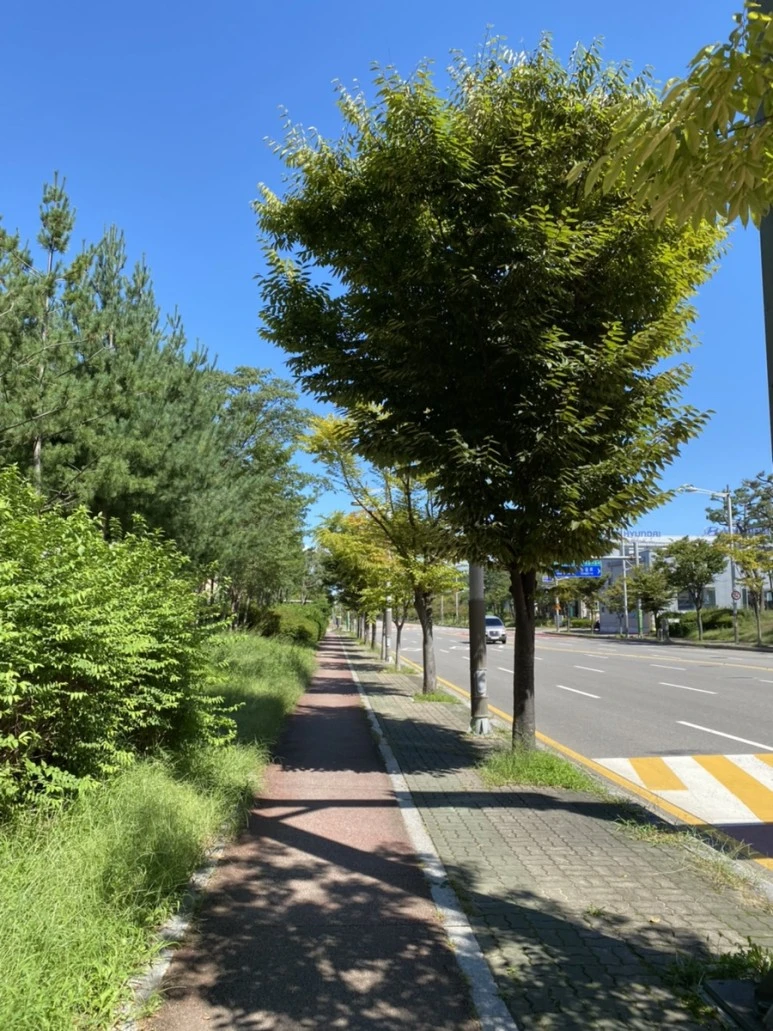 IMG_8103.jpg?type=w773