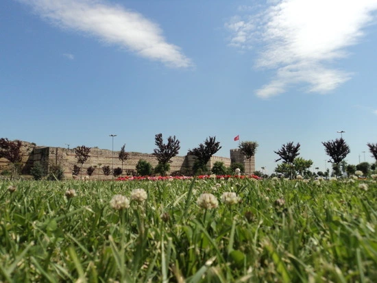 dsc00622_taejungsmin.jpg?type=w2