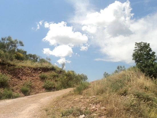 dsc05802_taejungsmin.jpg?type=w2