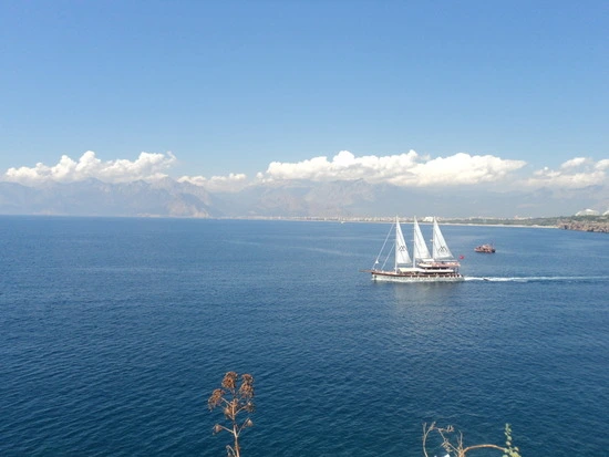 dsc03705_taejungsmin.jpg?type=w2