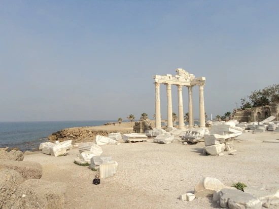 dsc01891_taejungsmin.jpg?type=w2