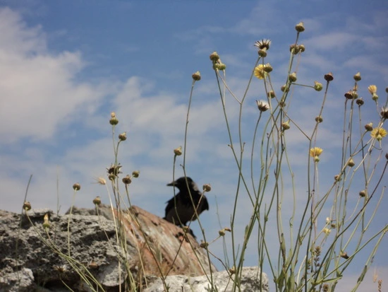 dsc00588_taejungsmin.jpg?type=w2