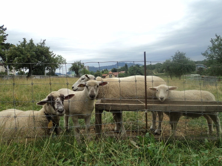 dsc07876_taejungsmin.jpg?type=w2