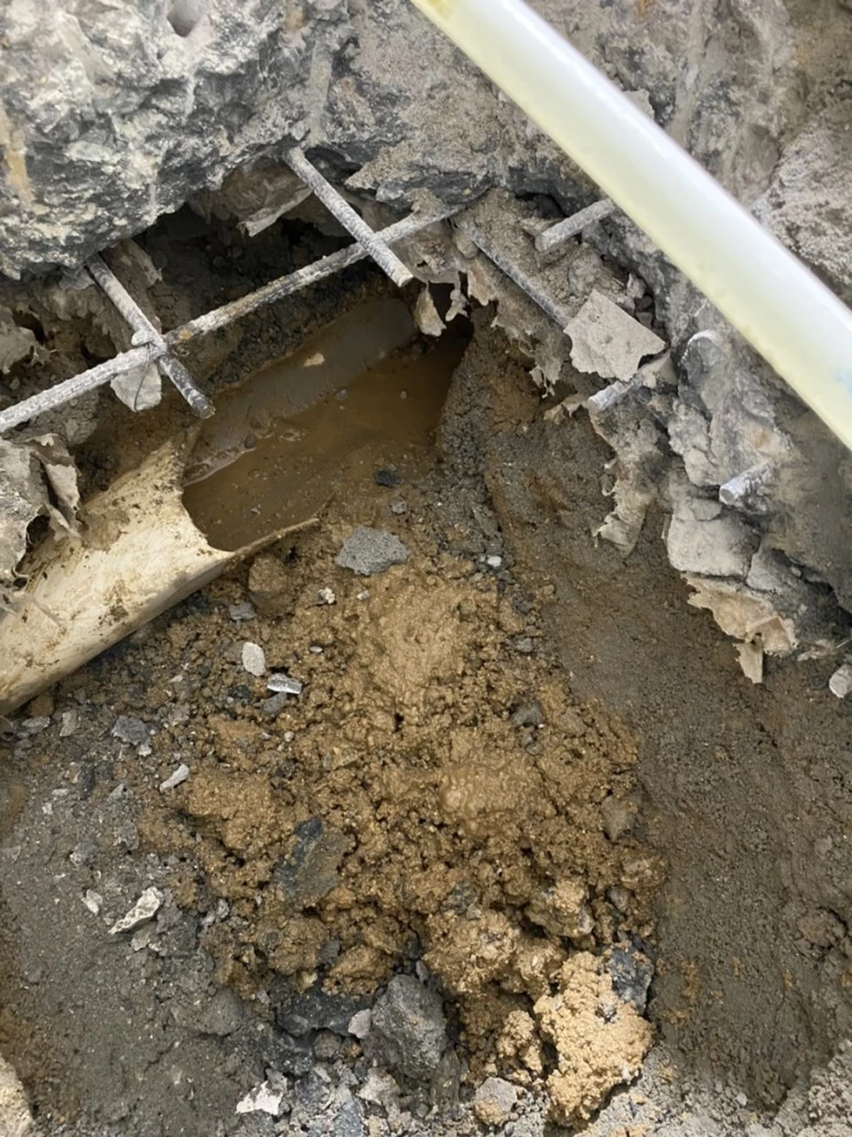 IMG_7893.jpg?type=w773