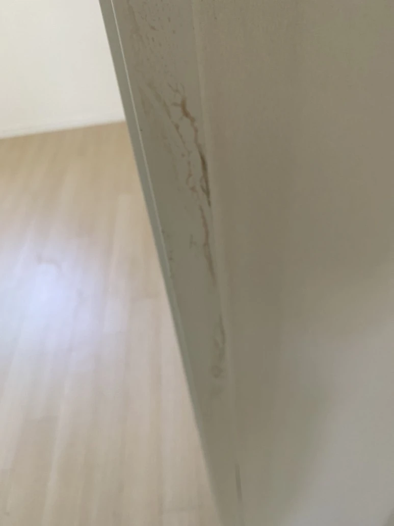 IMG_8114.jpg?type=w773