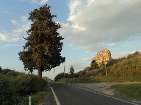 dsc03583_taejungsmin.jpg?type=w2