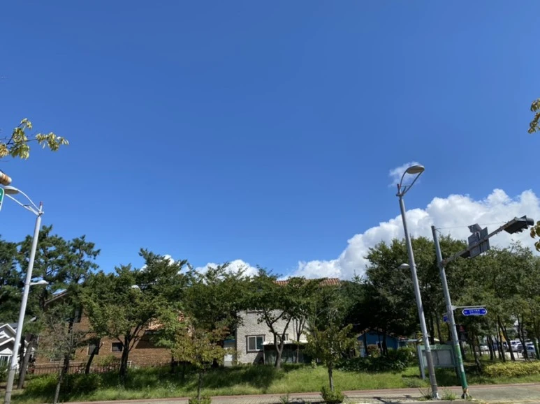 IMG_8126.jpg?type=w773