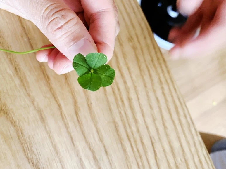 output_2062199443.jpg?type=w773