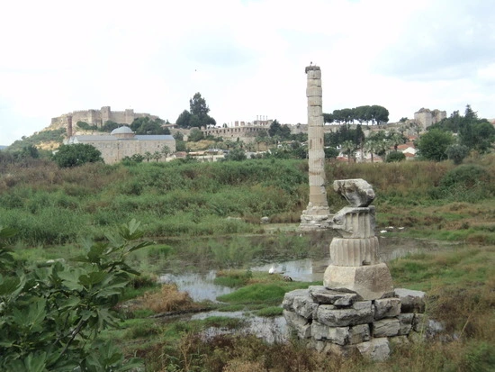 dsc03314_taejungsmin.jpg?type=w2