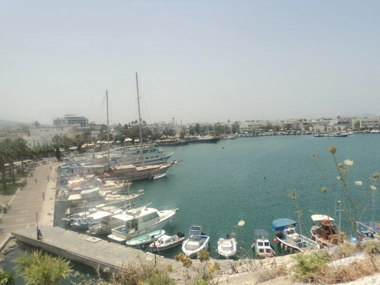 dsc04323_taejungsmin.jpg?type=w2