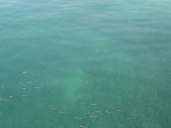 dsc04263_taejungsmin.jpg?type=w2