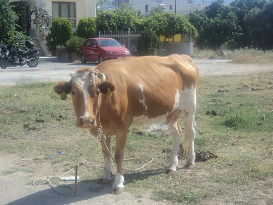 dsc04438_taejungsmin.jpg?type=w2