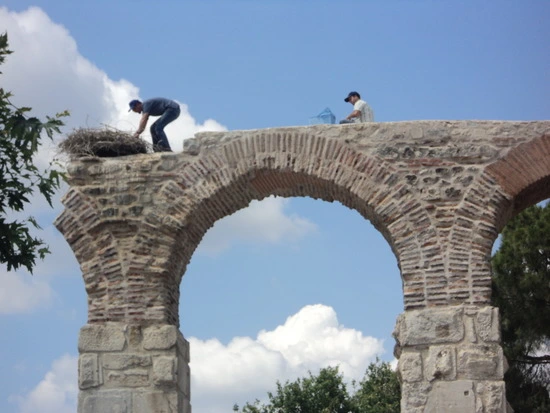 dsc03302_taejungsmin.jpg?type=w2