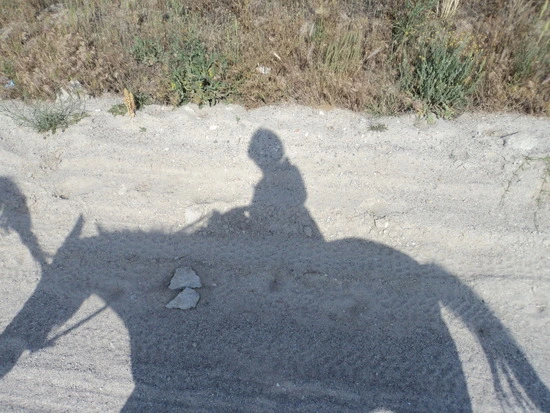 dsc01723_taejungsmin.jpg?type=w2