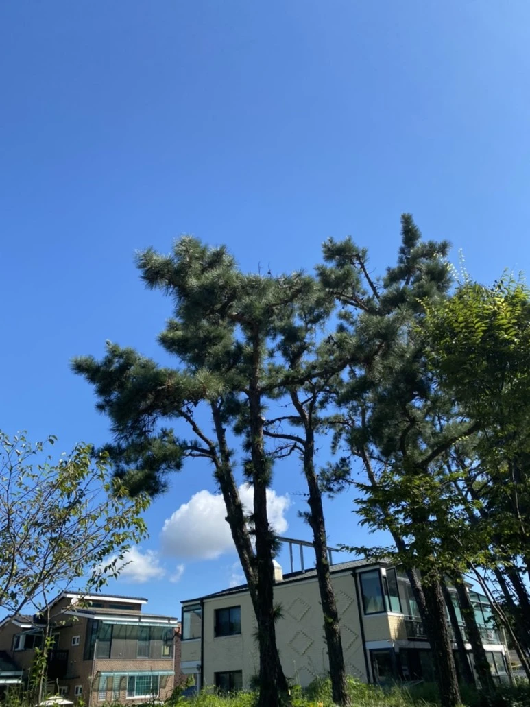 IMG_8100.jpg?type=w773