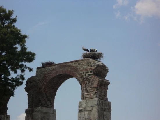 dsc03303_taejungsmin.jpg?type=w2