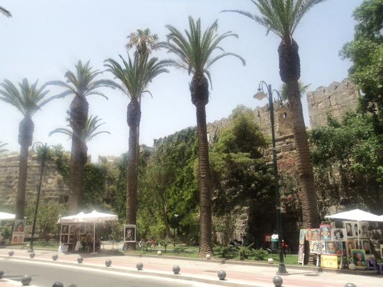 dsc04297_taejungsmin.jpg?type=w2