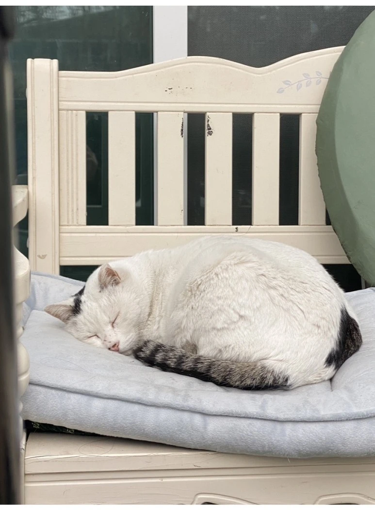 IMG_3661.jpg?type=w773