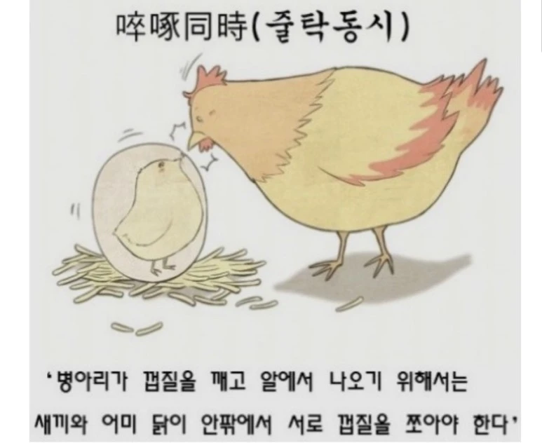 IMG_5330.jpg?type=w773