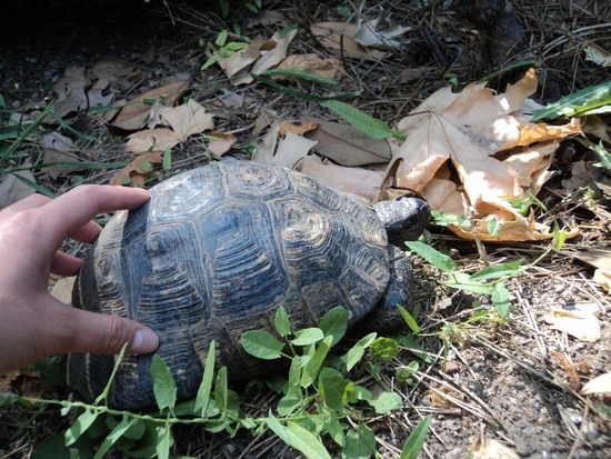 dsc01223_taejungsmin.jpg?type=w2