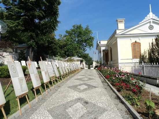 dsc00719_taejungsmin.jpg?type=w2