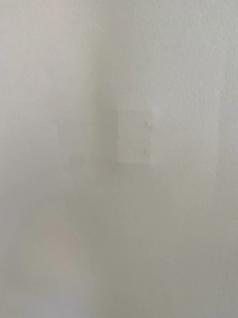 IMG_8108.jpg?type=w773