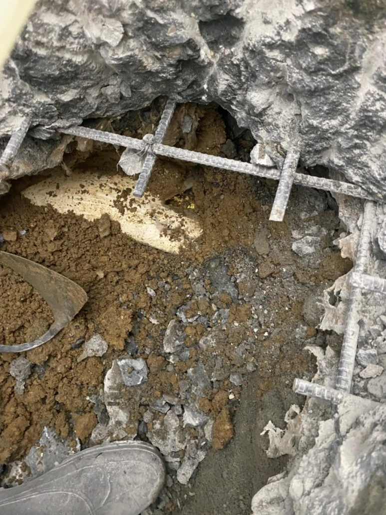 IMG_7876.jpg?type=w773