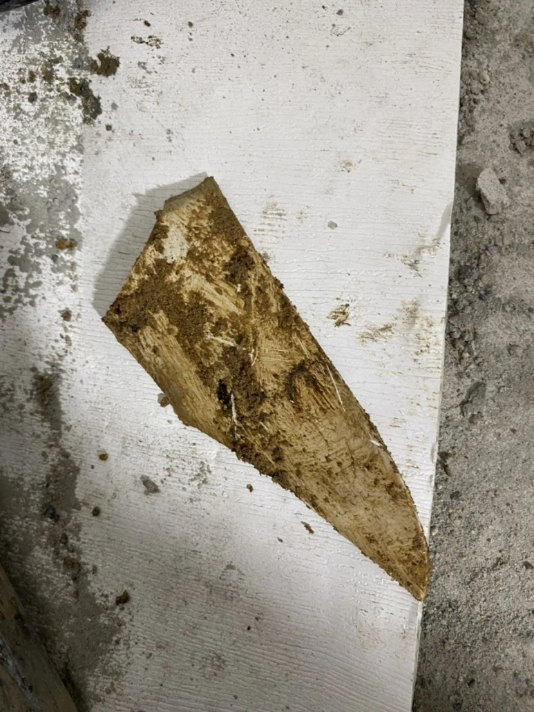 IMG_7877.jpg?type=w773