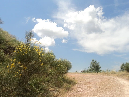 dsc05803_taejungsmin.jpg?type=w2