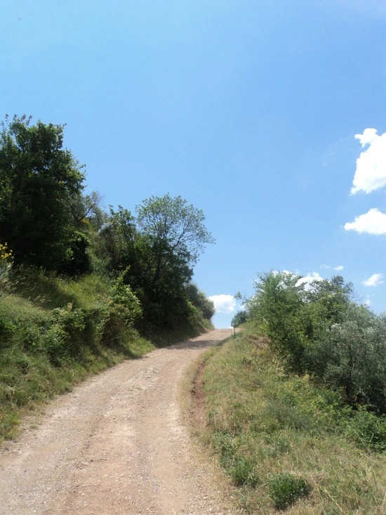 dsc05805_taejungsmin.jpg?type=w2