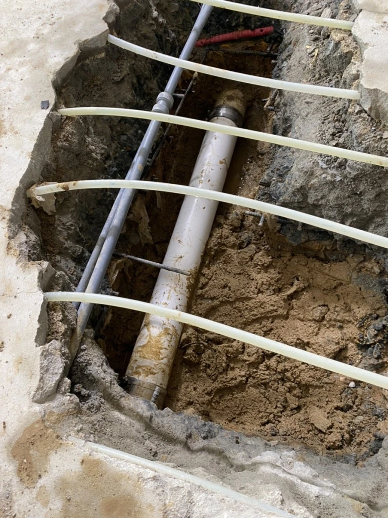 IMG_7992.jpg?type=w773