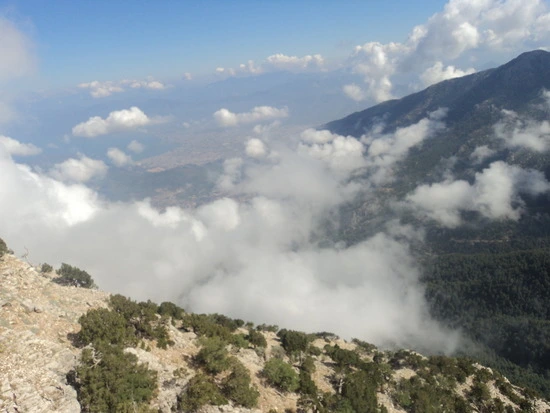 dsc02983_taejungsmin.jpg?type=w2