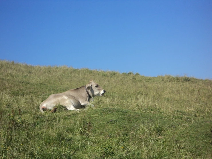 dsc08424_taejungsmin.jpg?type=w2