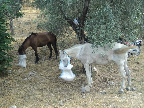 dsc03356_taejungsmin.jpg?type=w2