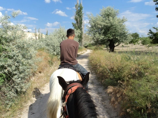 dsc01748_taejungsmin.jpg?type=w2