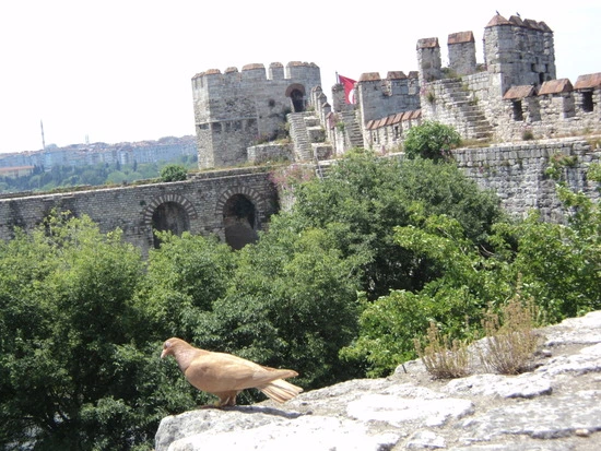 dsc00610_taejungsmin.jpg?type=w2