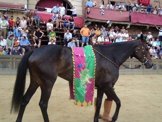 dsc06212_taejungsmin.jpg?type=w2