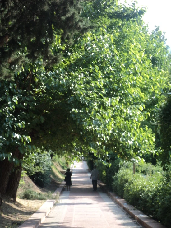 dsc05904_taejungsmin.jpg?type=w2