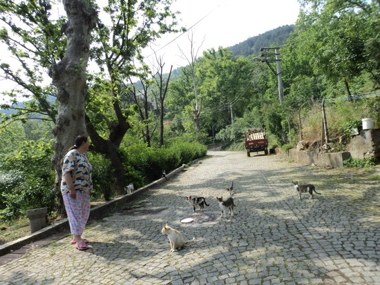 dsc00744_taejungsmin.jpg?type=w2