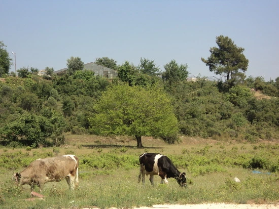 dsc02038_taejungsmin.jpg?type=w2