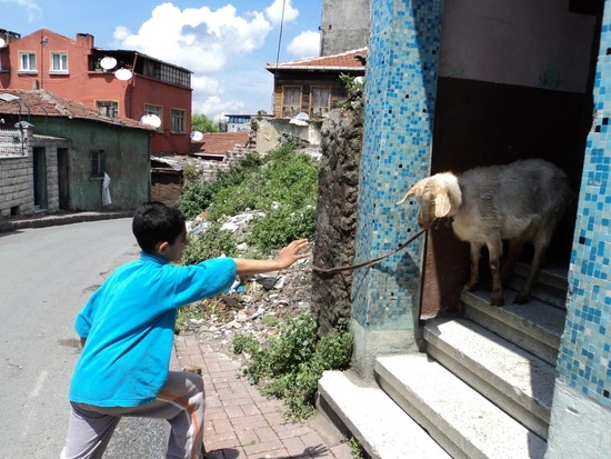 dsc00289_taejungsmin.jpg?type=w2