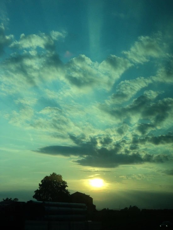 dsc05252_taejungsmin.jpg?type=w2