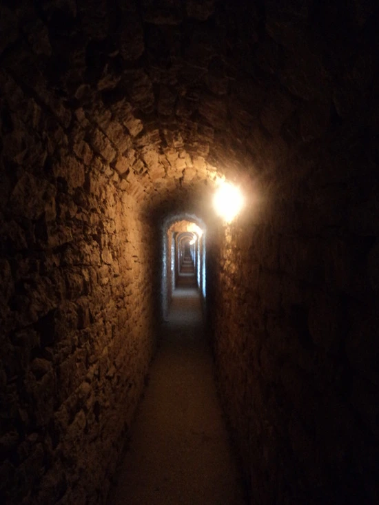 dsc05862_taejungsmin.jpg?type=w2